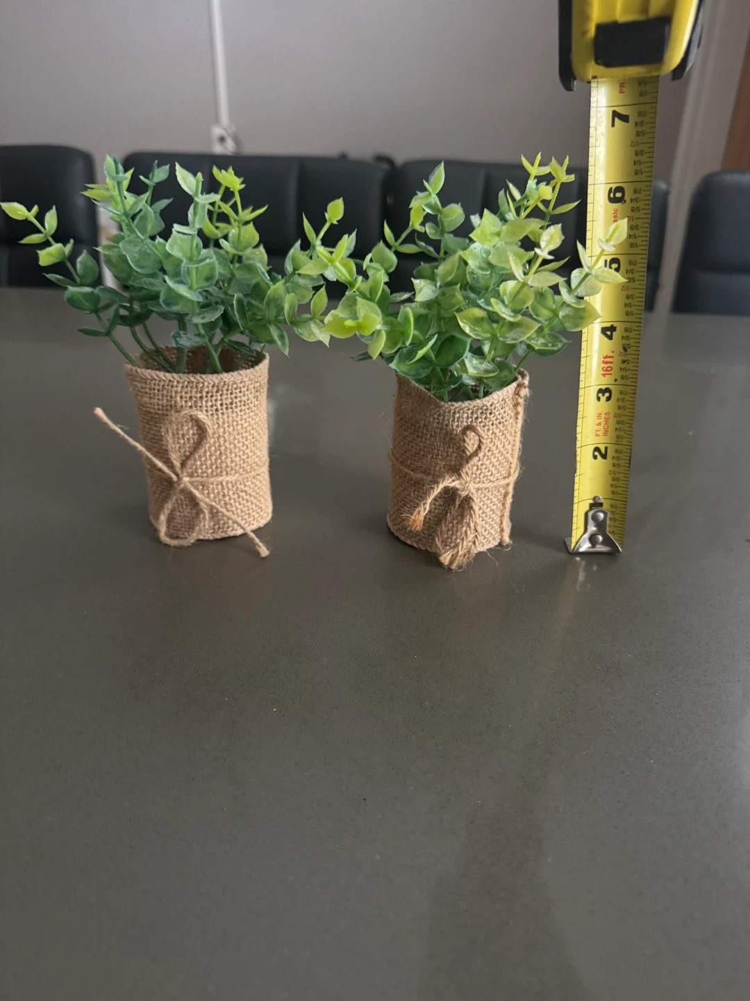 Set of 2 Mini Faux Eucalyptus Plants in Burlap Pots - photo 2