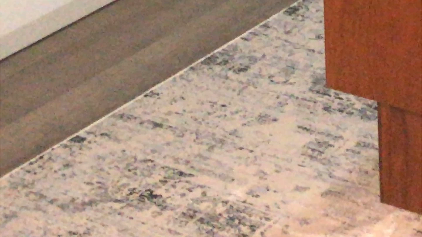 Area Rug - photo 2