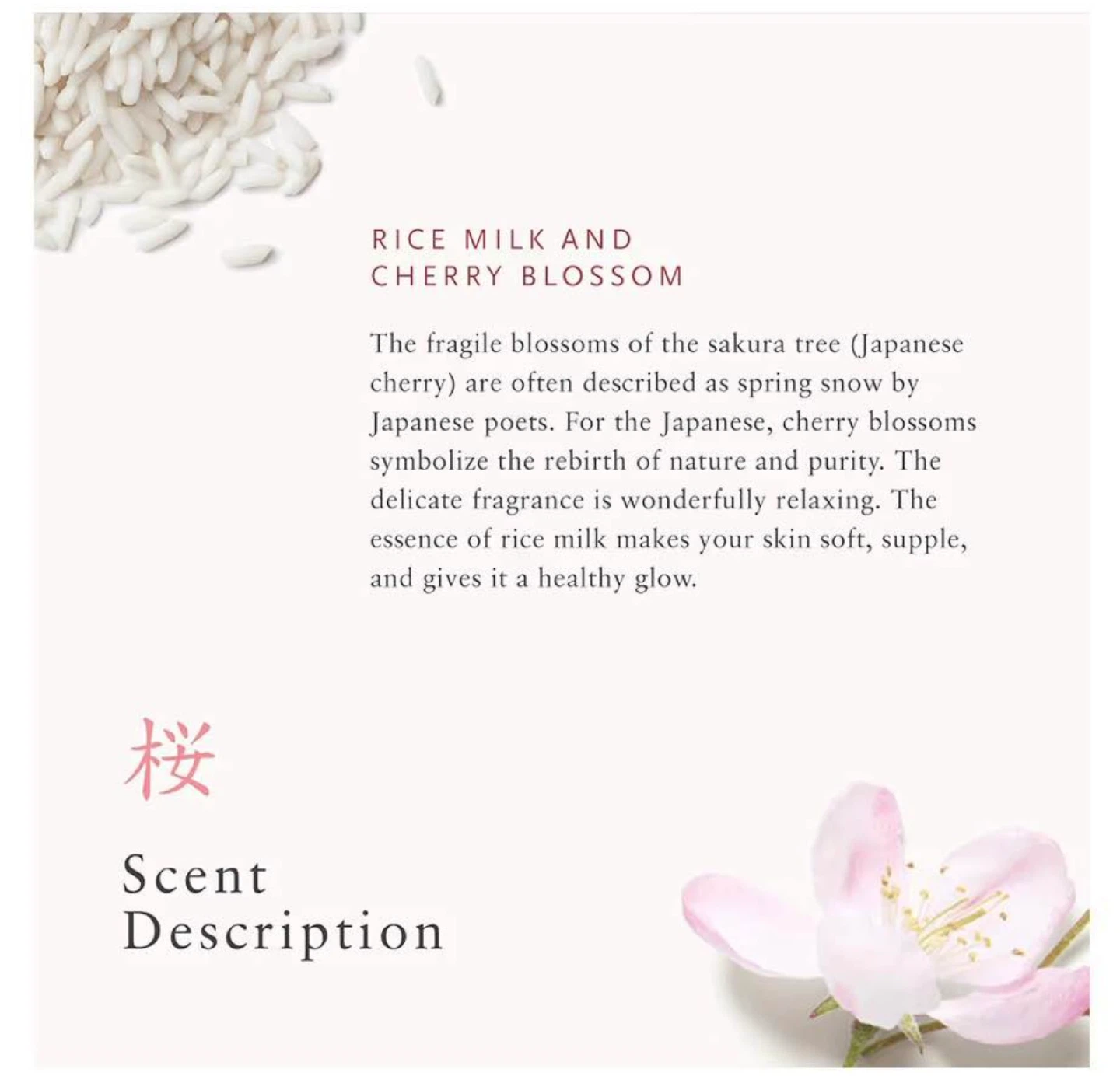 The Ritual of Sakura Foaming Shower Gel - photo 4