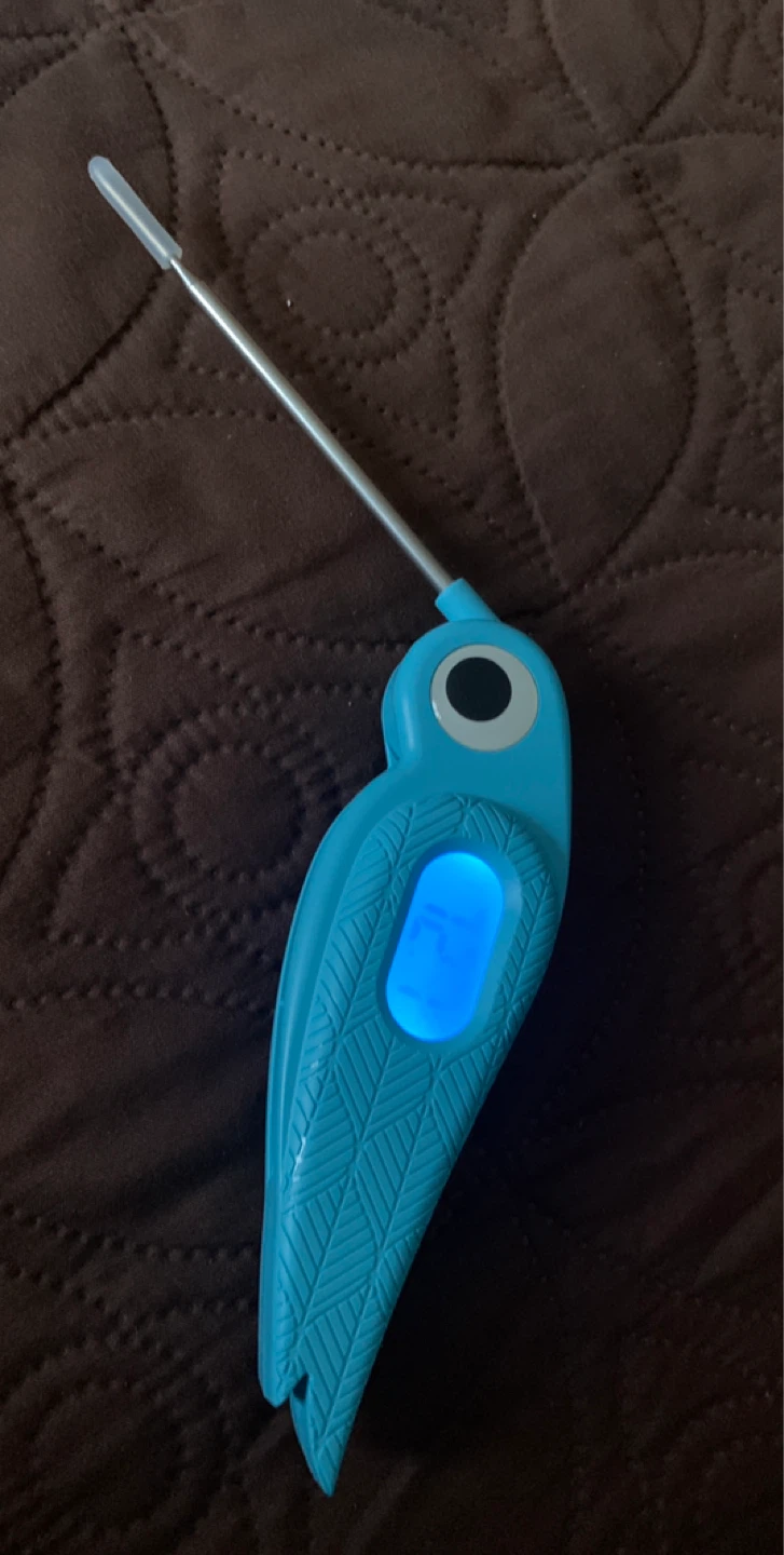 Home Hero Hummingbird Meat Thermometer - photo 2