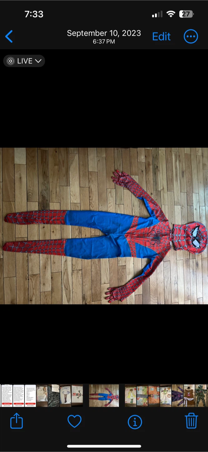 Spiderman Costume 🥕