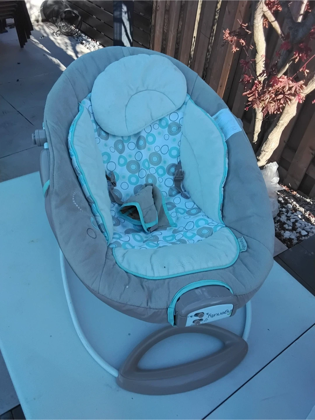 Fisher-Price Infant-to-Toddler Rocker