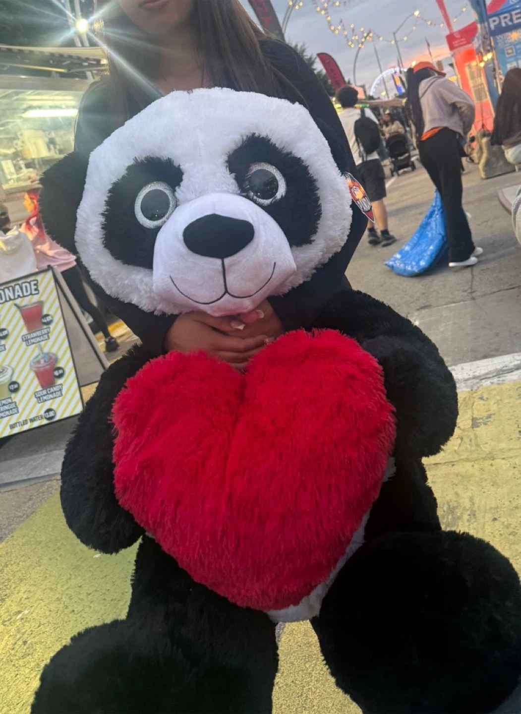 Plush Panda with Heart