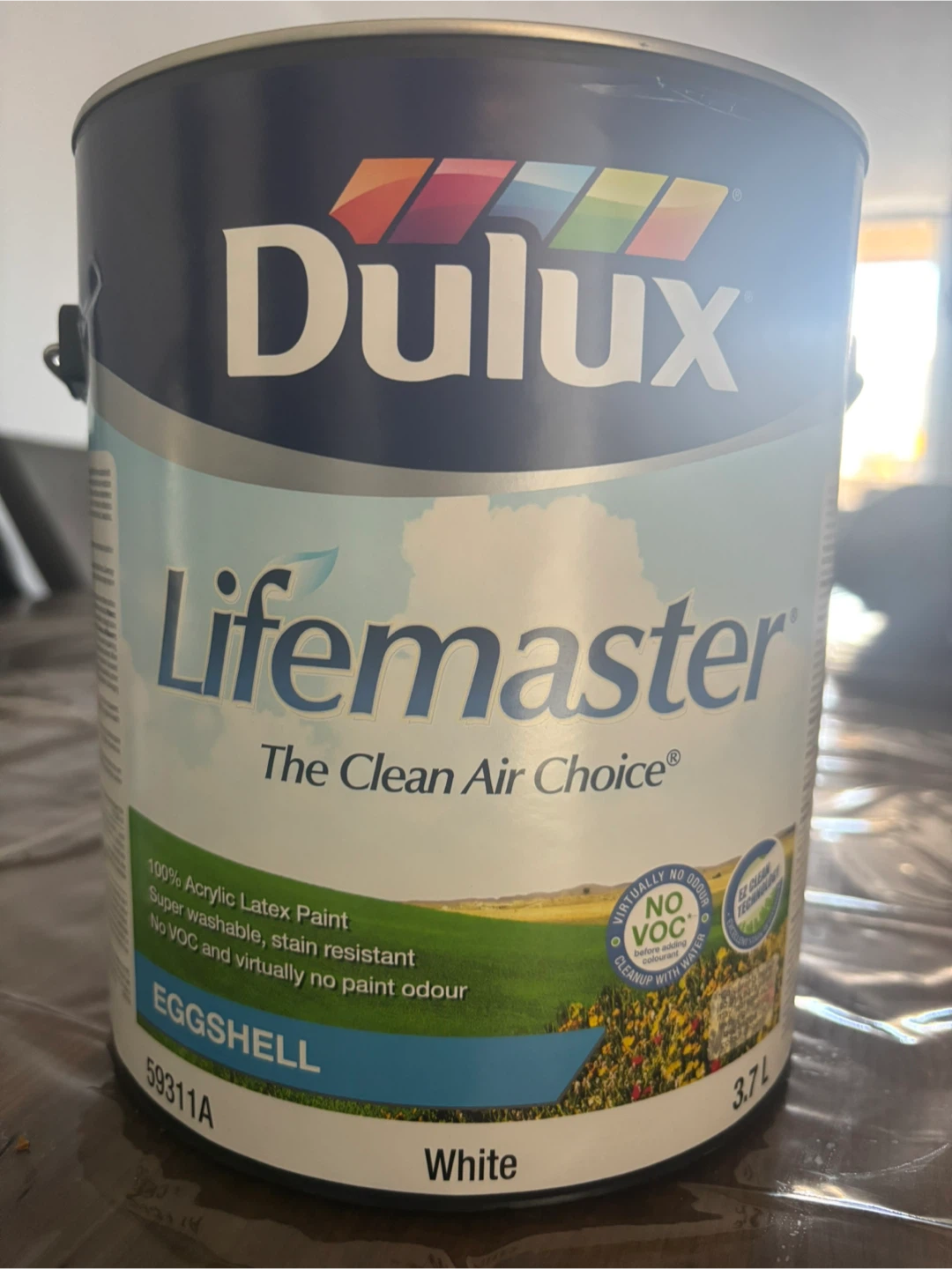 Dulux Lifemaster 1 Gallon Paint - White