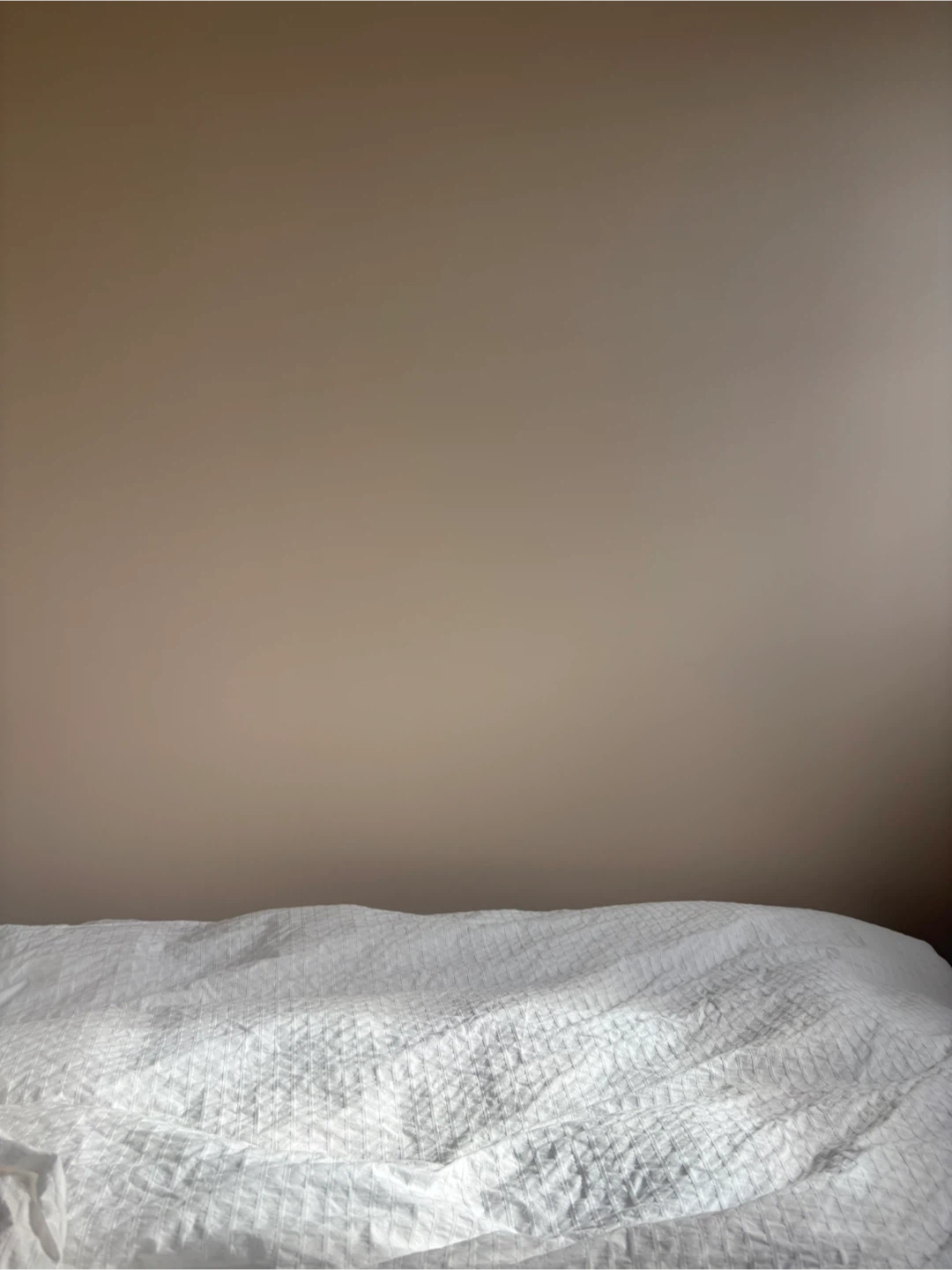 Dulux Lifemaster 1 Gallon Paint - White - photo 4