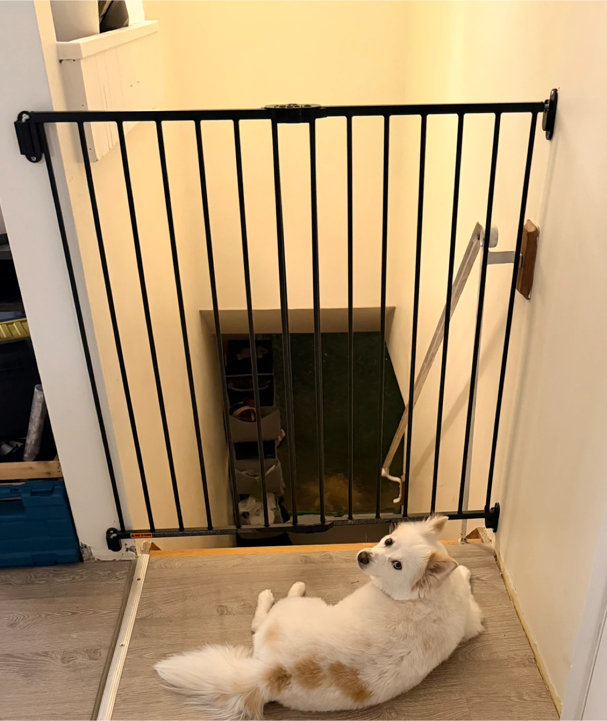 Black Metal REGALO Wall Mount Safety Gate