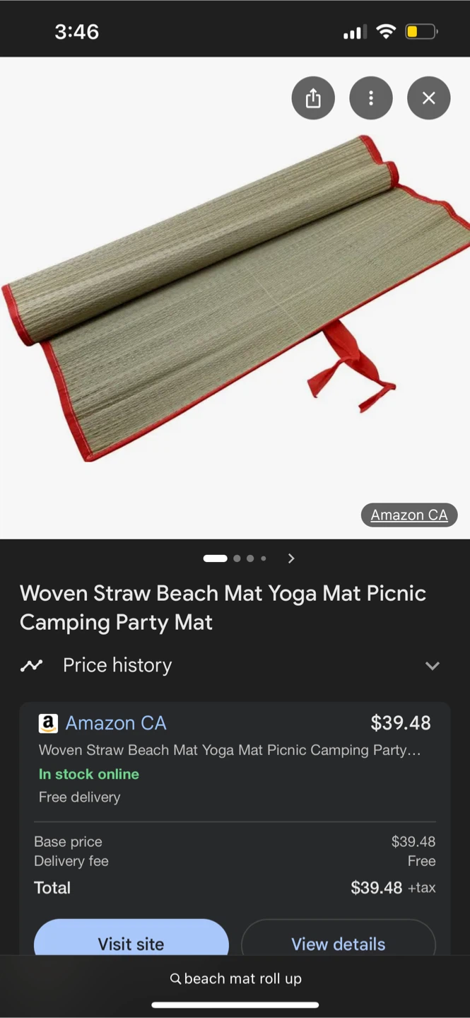Natural Fiber Beach/Outside Mat - photo 5