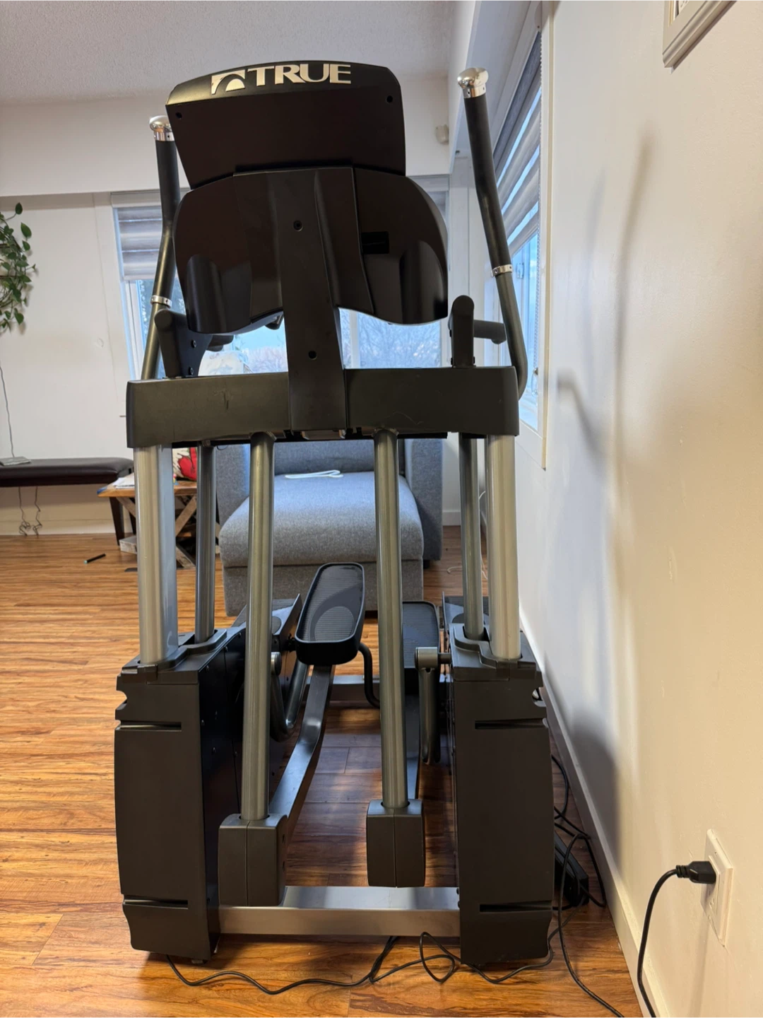 TRUE Elliptical - photo 4
