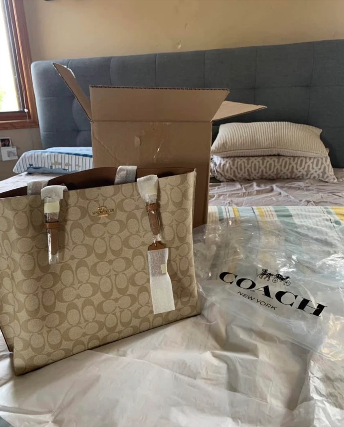 Coach Sig Mollie Tote Bag