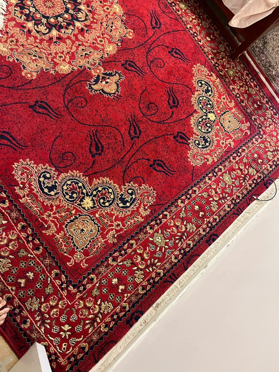 TTT Collection Red/Cream Area Rug 300x400cm - photo 5