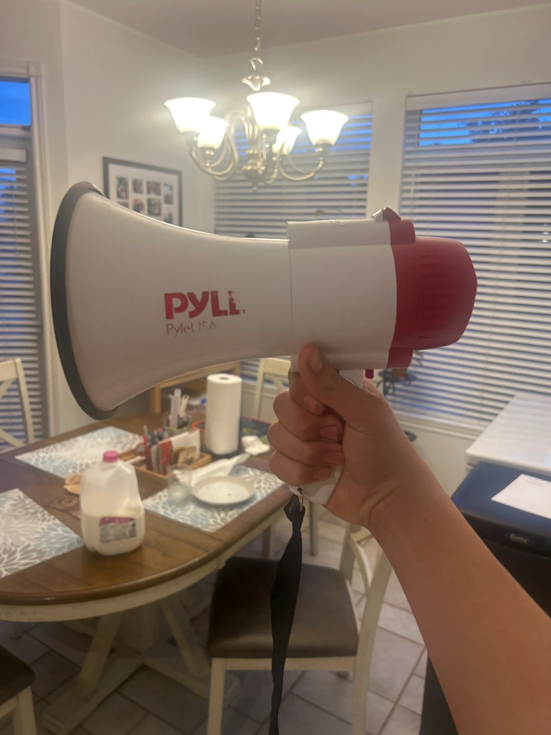 PYLE Megaphone