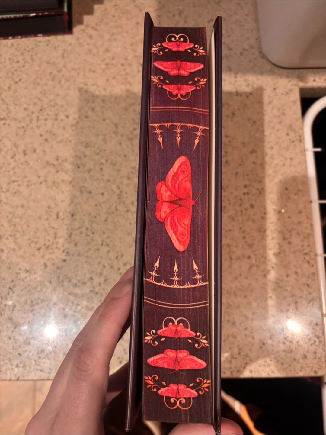 The Crimson Moth - photo 3