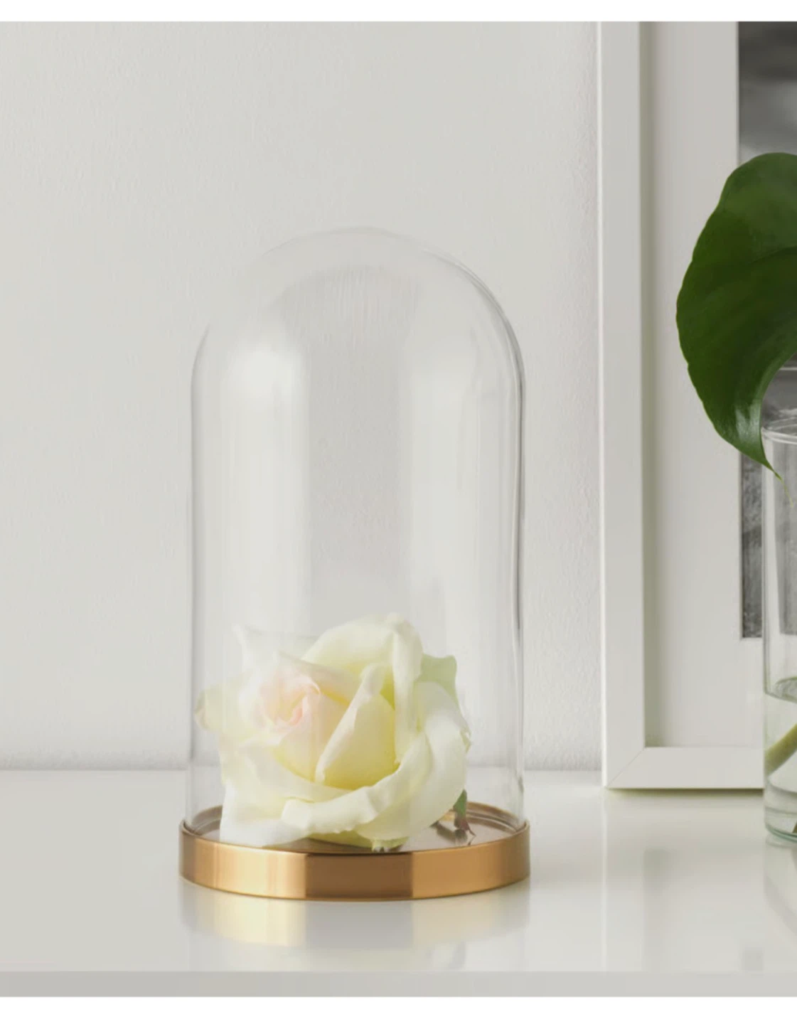 Glass Dome with Gold Base - photo 3