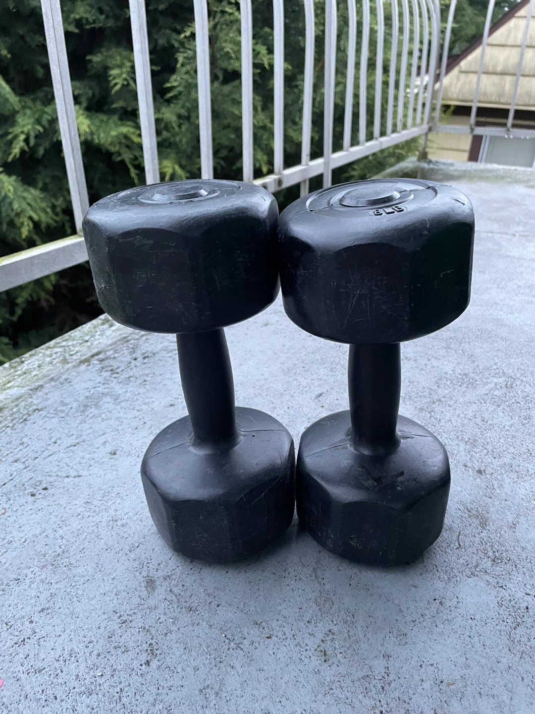 Pair of 5lb Dumbbells