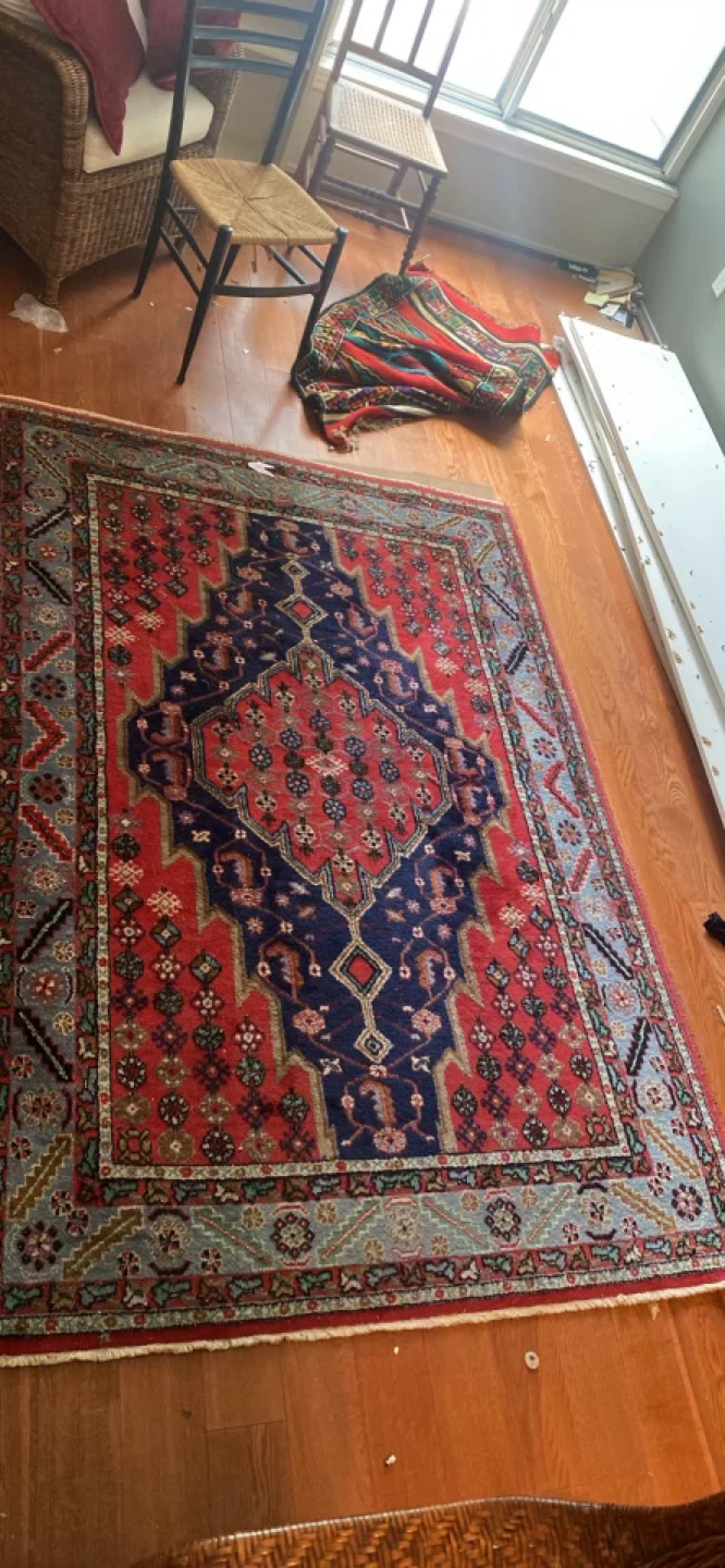 Persian Rug - photo 2
