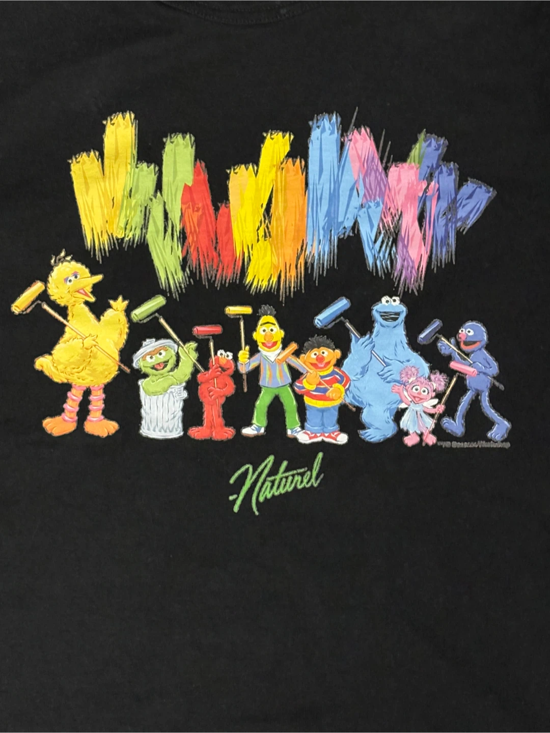 Champion Sesame Street T-Shirt - Small - photo 3