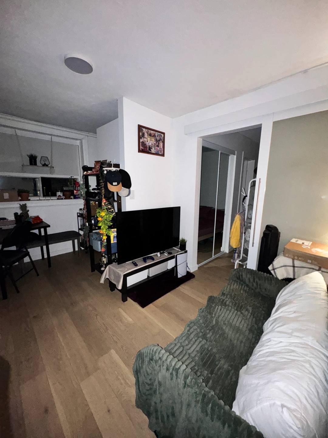 1 bedroom apartment - photo 4