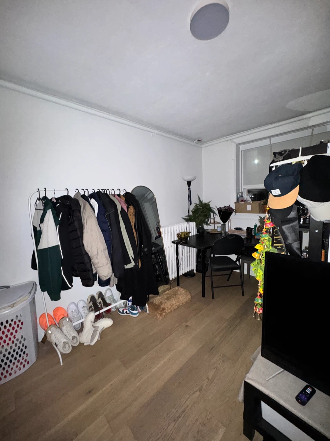 1 bedroom apartment
