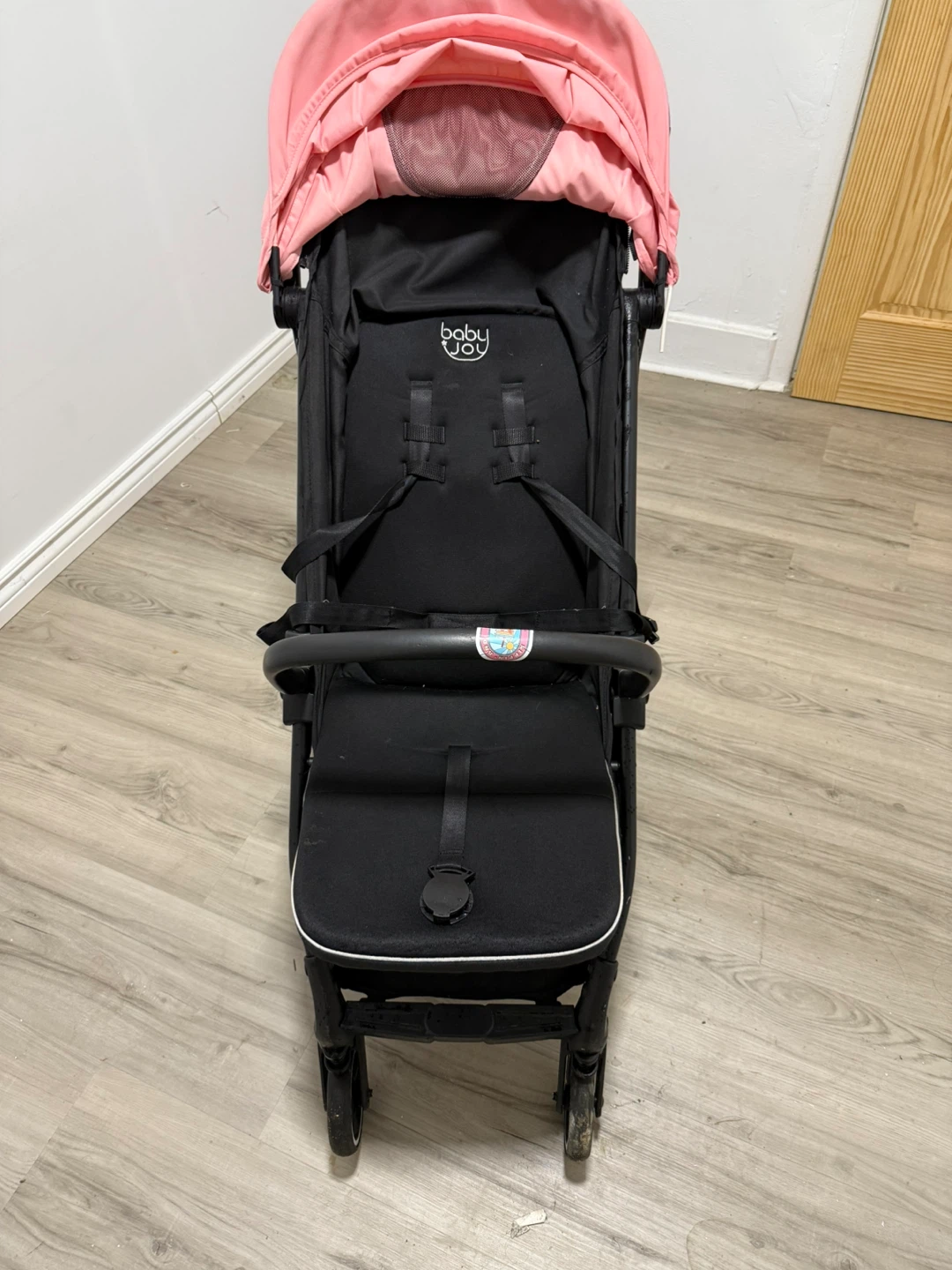 Baby Joy Stroller - photo 2