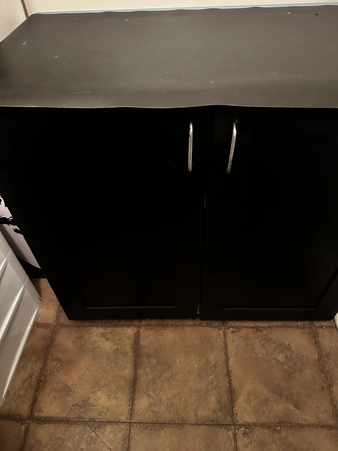 🥕Black Storage Cabinet with Silver Handles