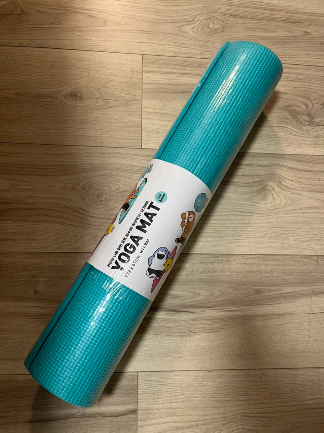 Teal Yoga Mat 173x61cm