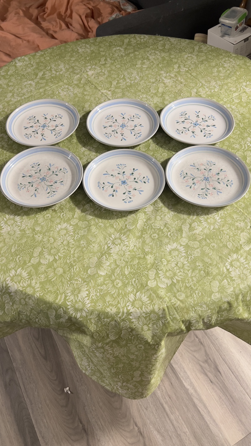 Set of 6 Vintage Fascino Japan Salad Plates (7.5")