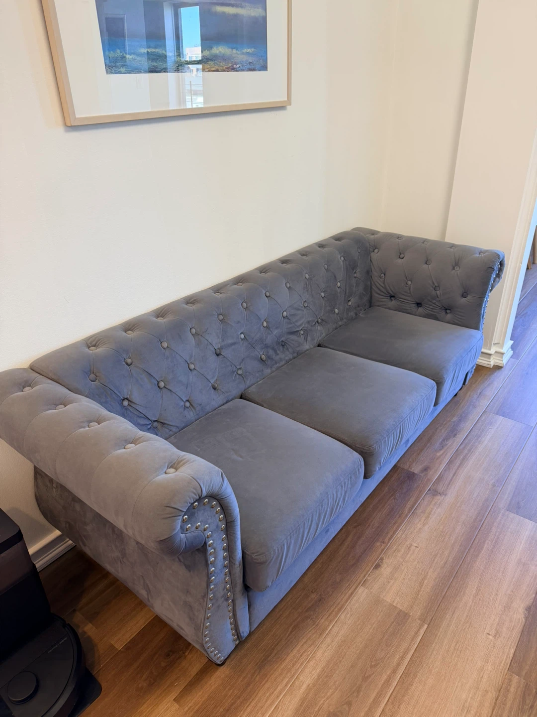 Dark Gray Velvet 3+ Seater Sofa