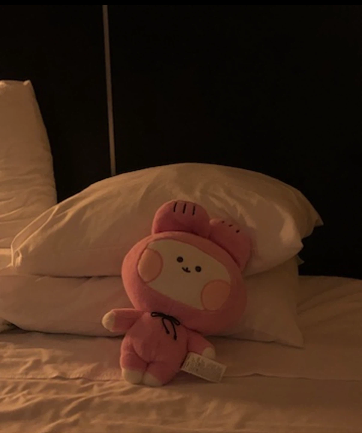 Pink Plush