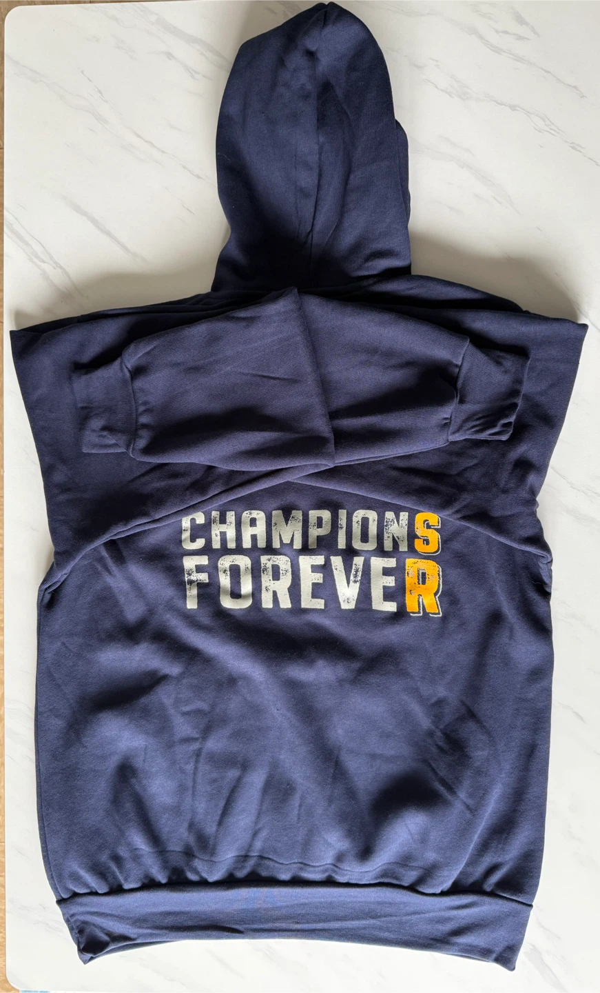Navy Blue Bella+Canvas Hoodie "Champions Forever" - photo 4