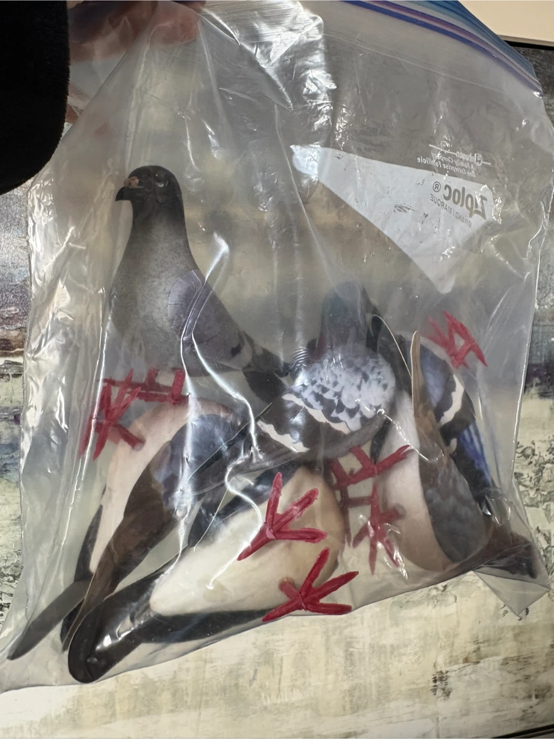 Bag of Pigeon Decoys 🥕🥕🥕
