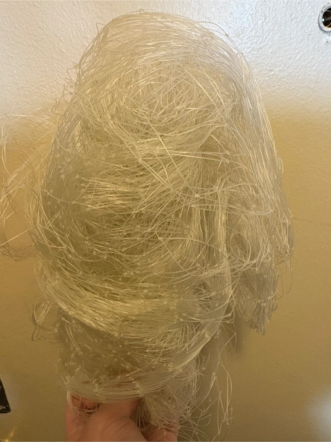 Clear Plastic String Net 🥕🥕🥕 #freecycle