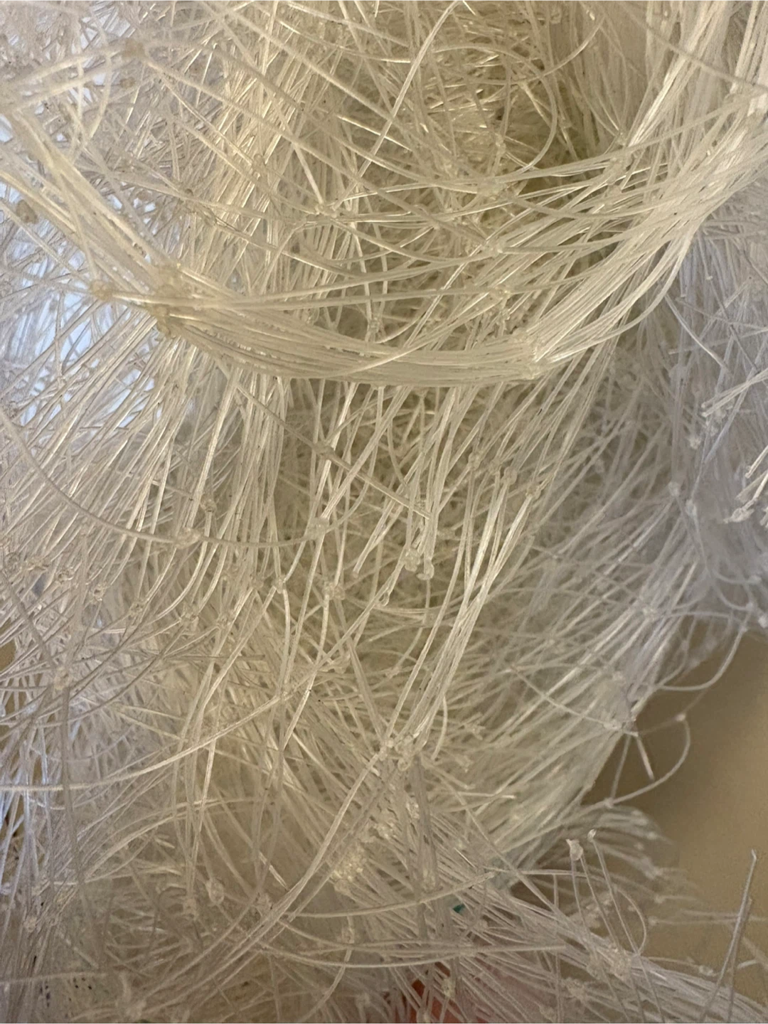Clear Plastic String Net 🥕🥕🥕 #freecycle - photo 2