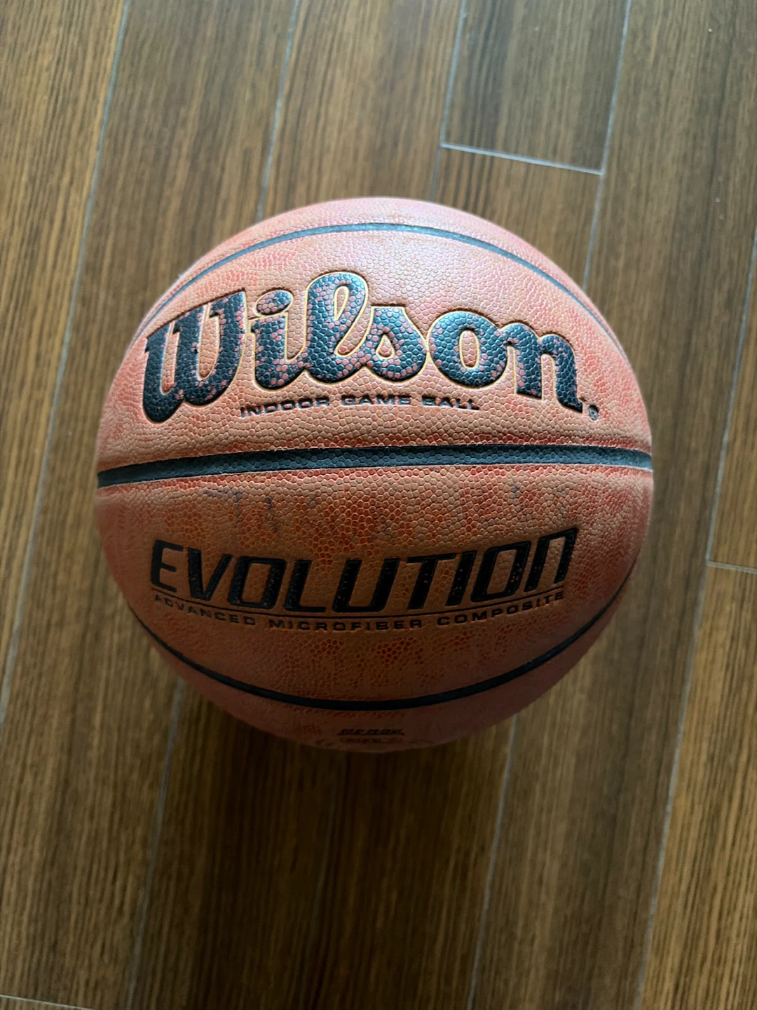 Wilson Evolution Basketball