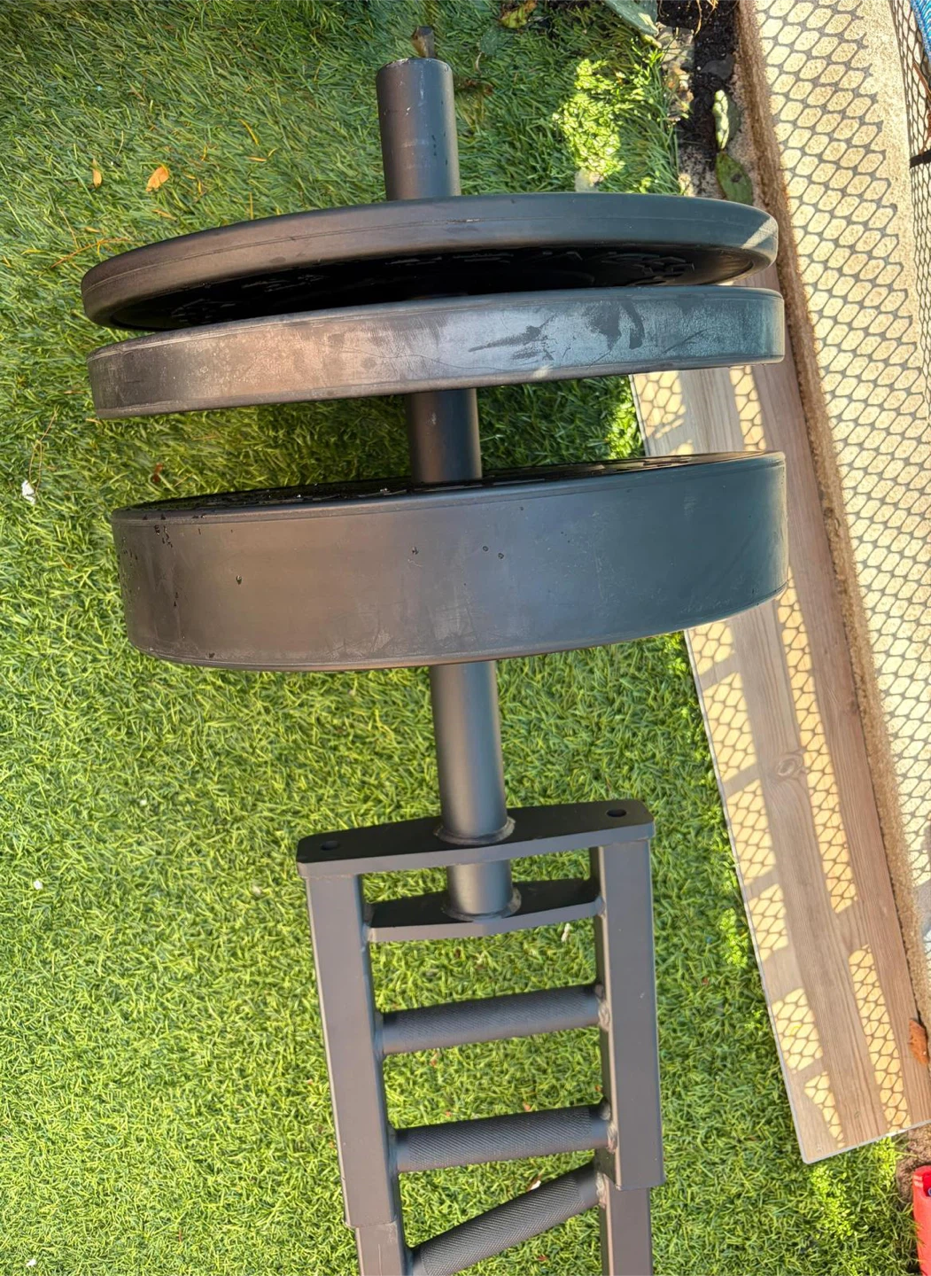 Fringe Sport Black Bumper Plates (25 LB Pair)