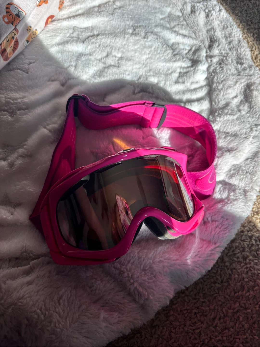 Oakley Ski Goggles with Black Cover