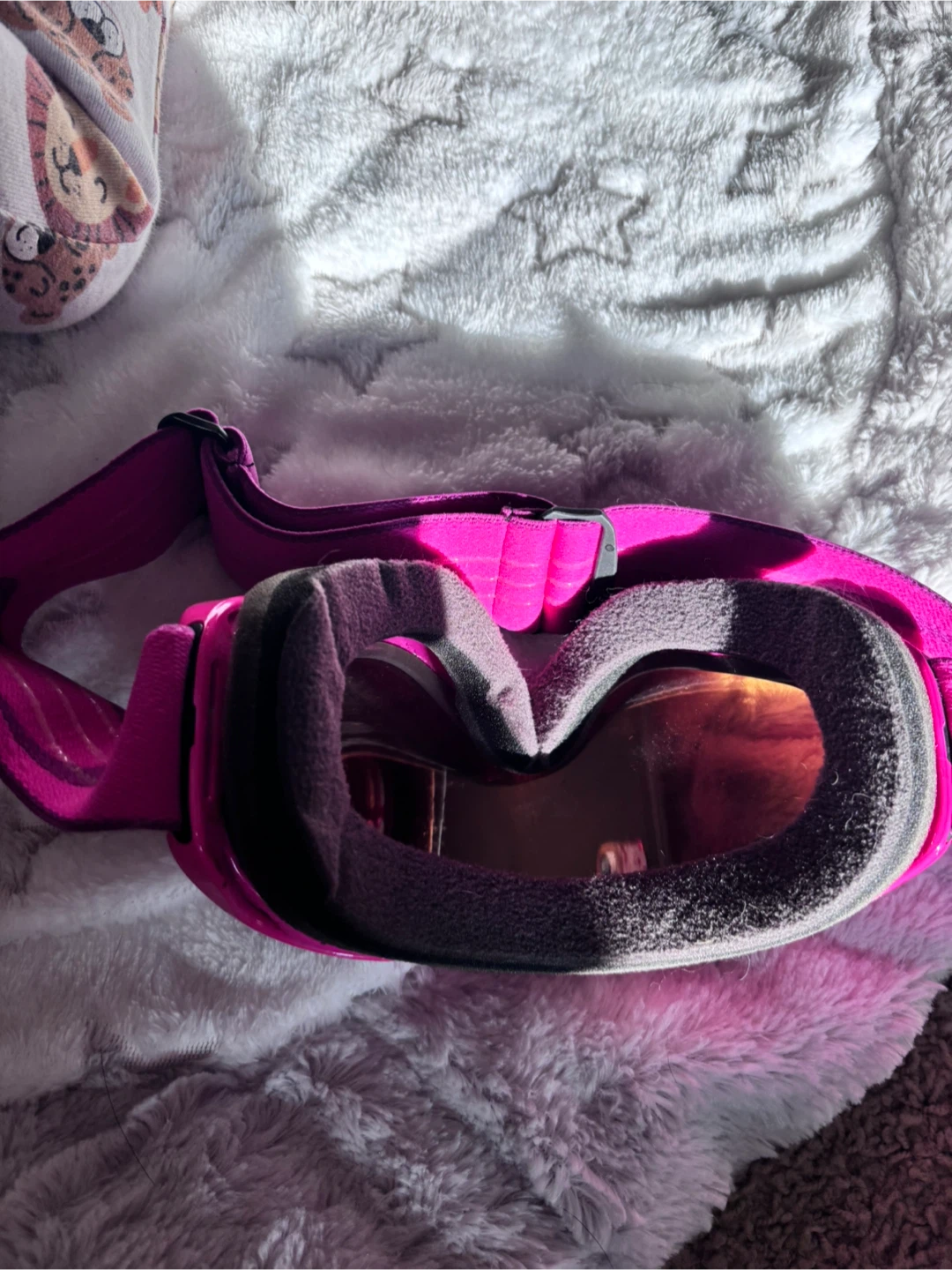Oakley Ski Goggles with Black Cover - photo 2
