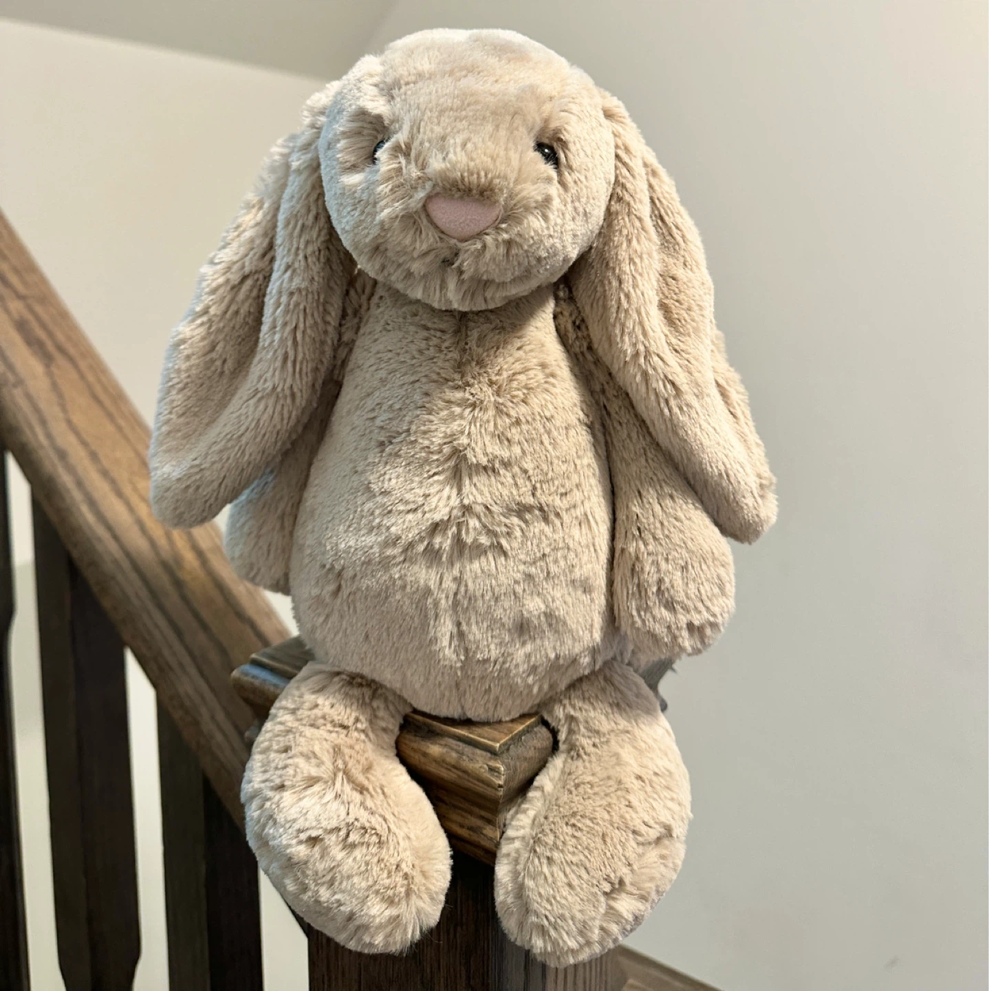 Jellycat Bashful Beige Bunny 🐰 Classic Best-Seller