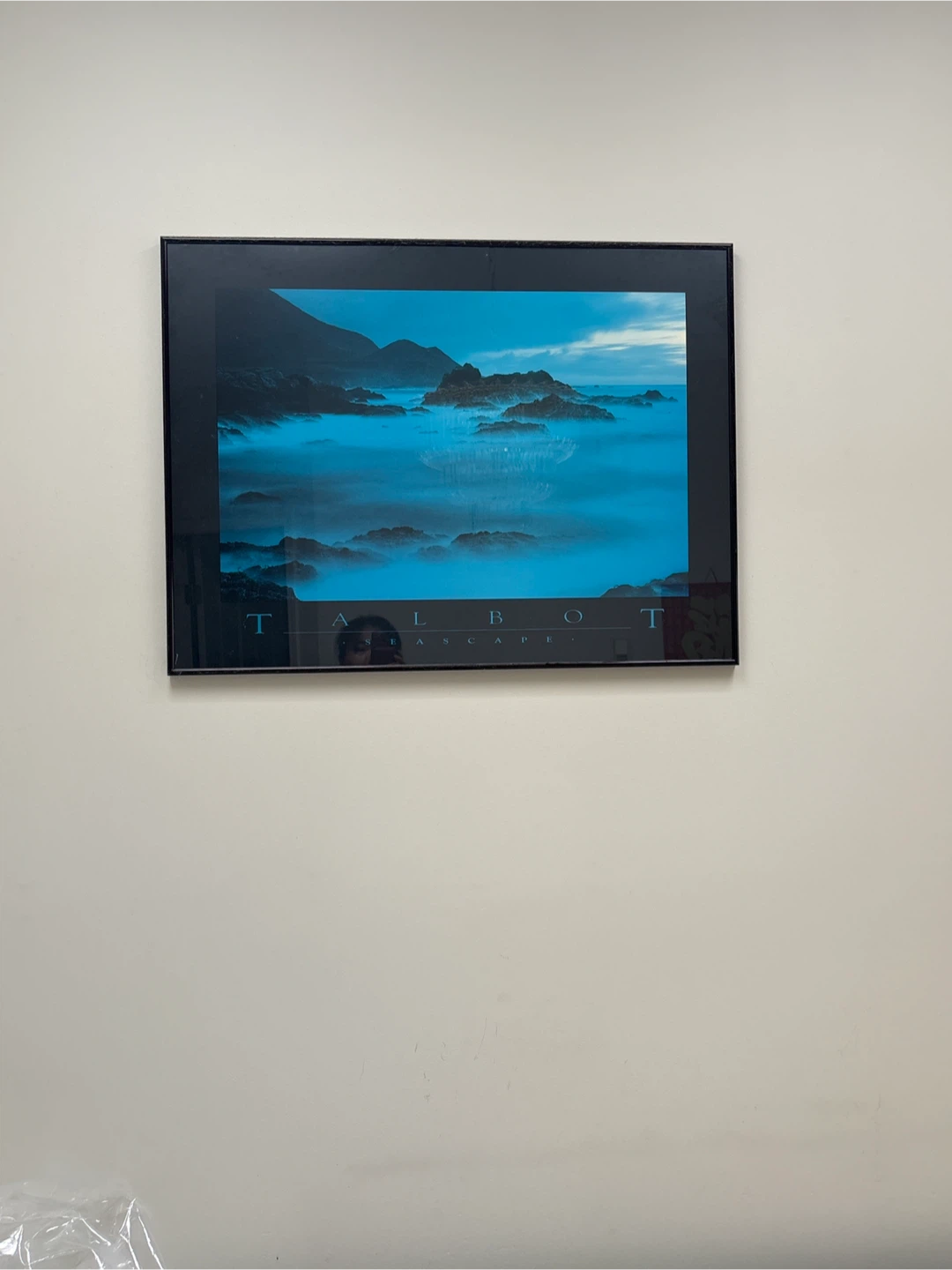 Framed Art Prints - Talbot & David Muench - photo 2