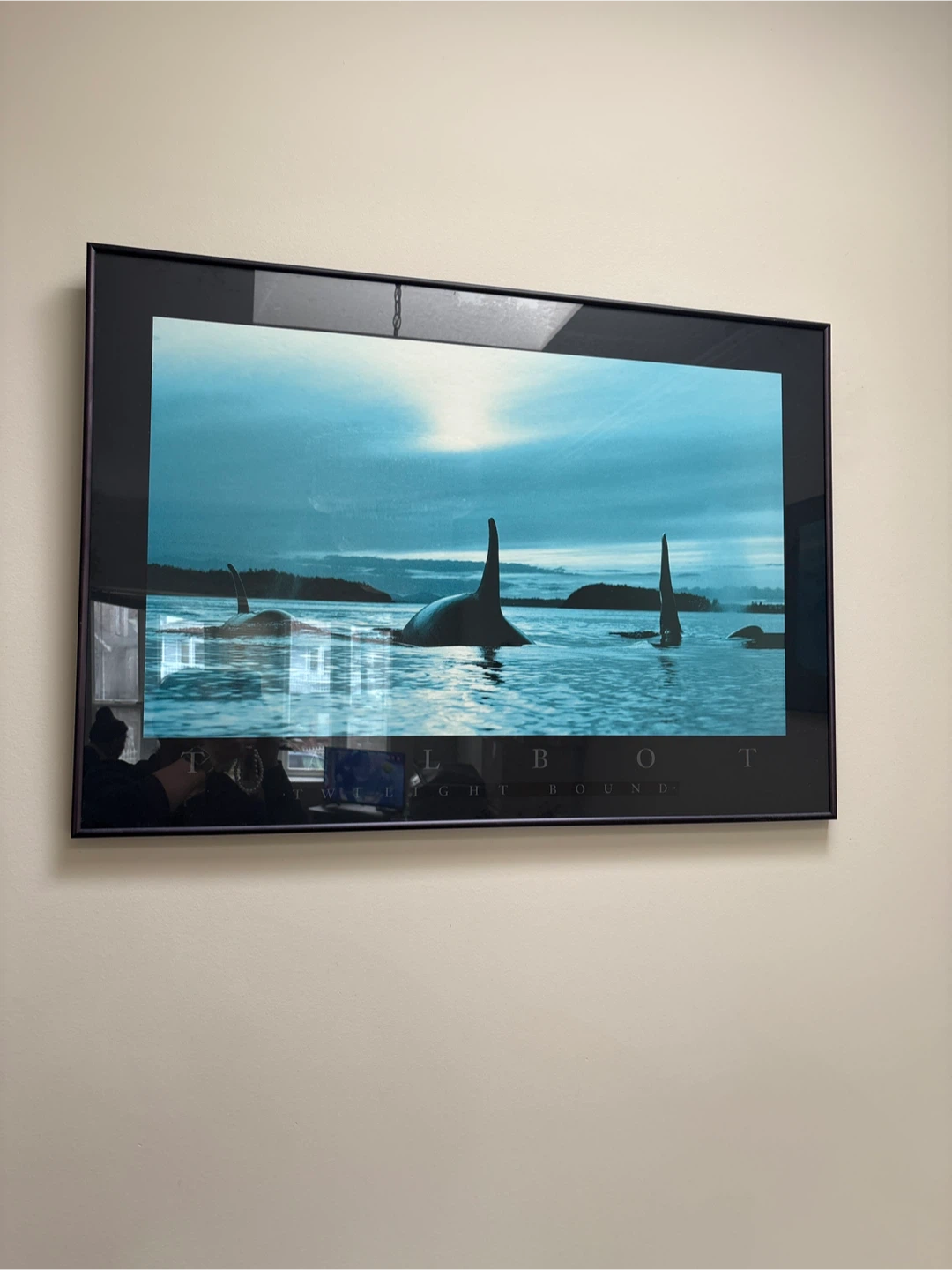 Framed Art Prints - Talbot & David Muench