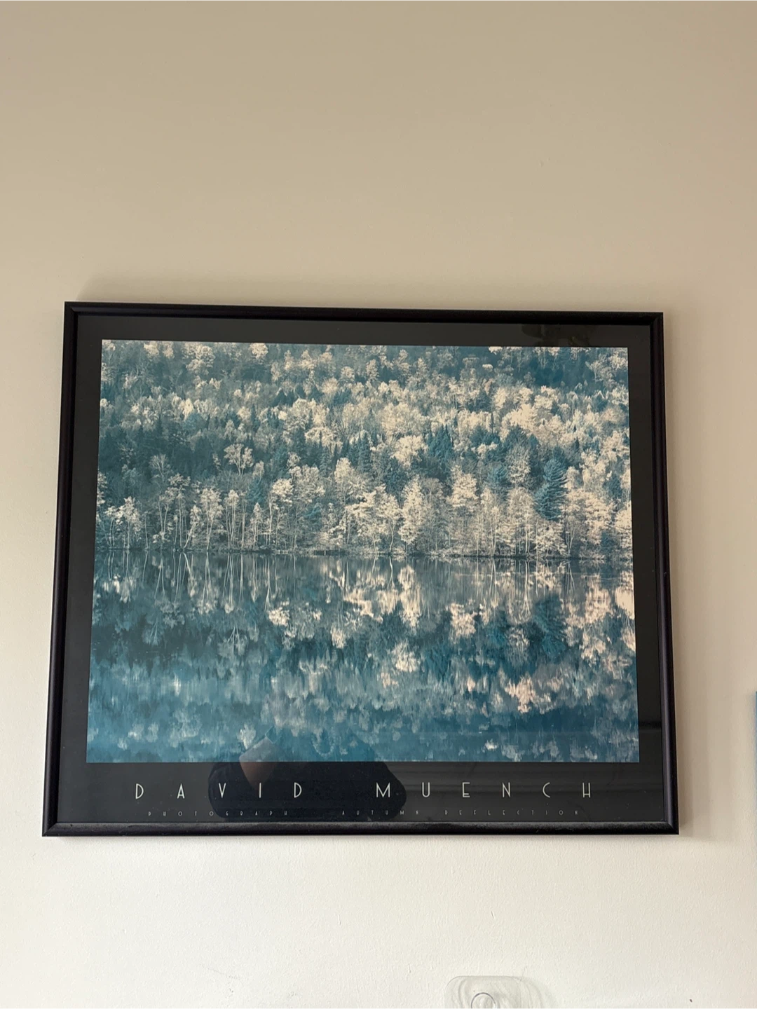 Framed Art Prints - Talbot & David Muench - photo 3