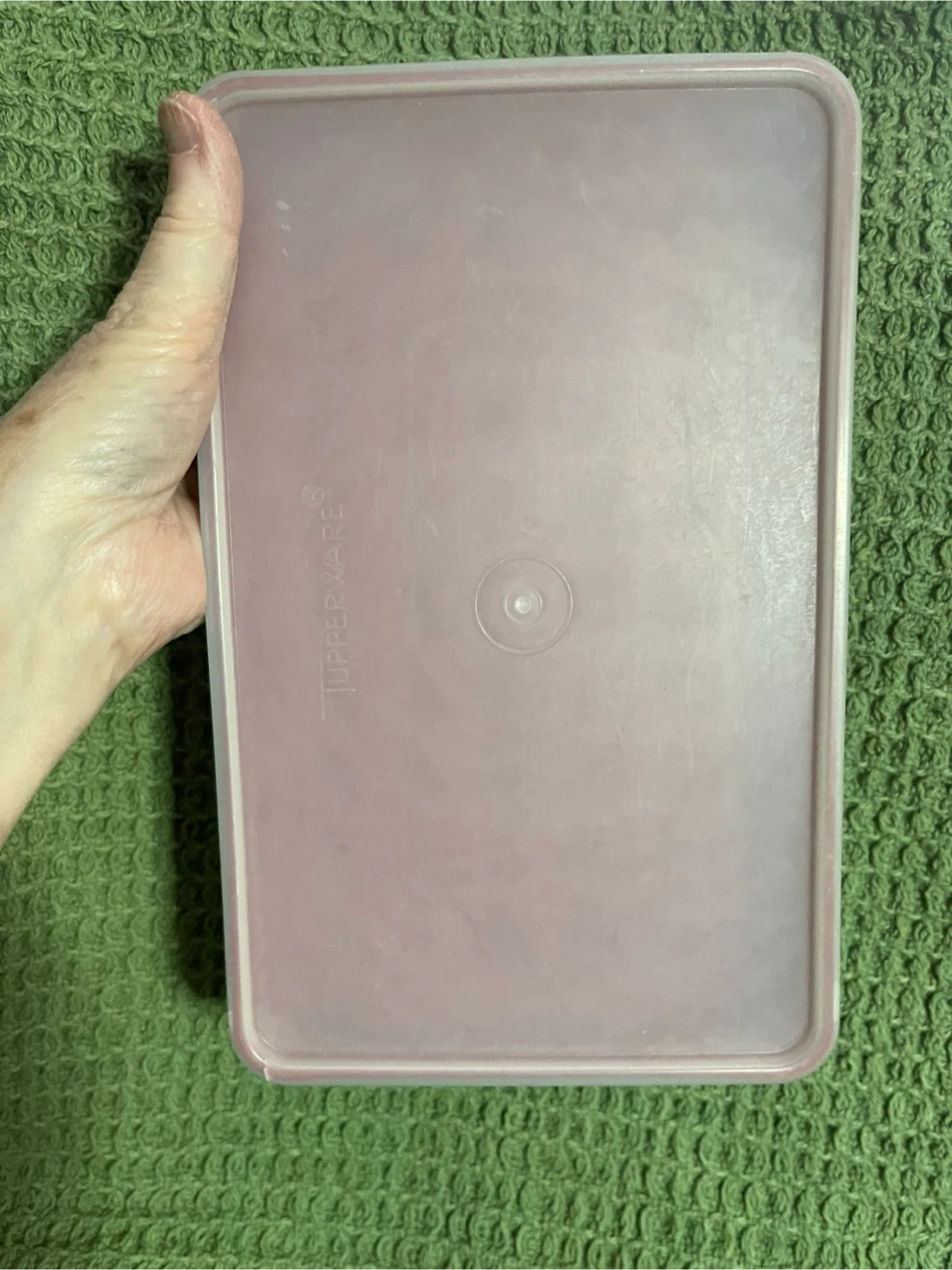 Vintage Tupperware Hot Dog Weiner Keeper 🥕 - photo 3