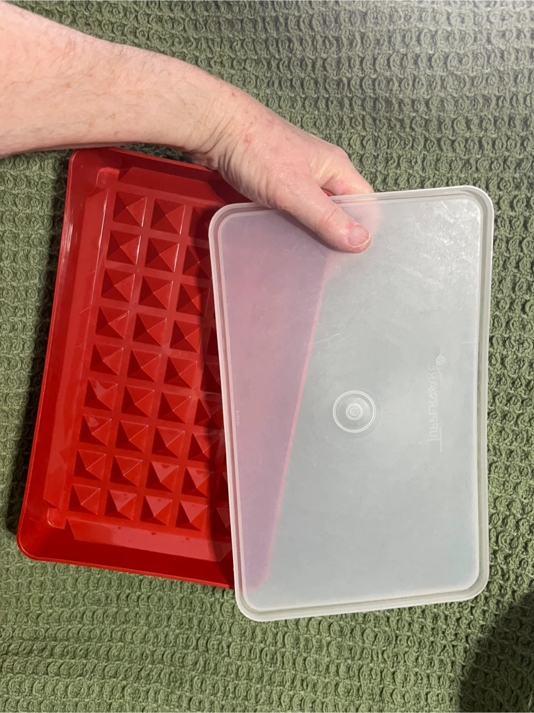 Vintage Tupperware Hot Dog Weiner Keeper 🥕