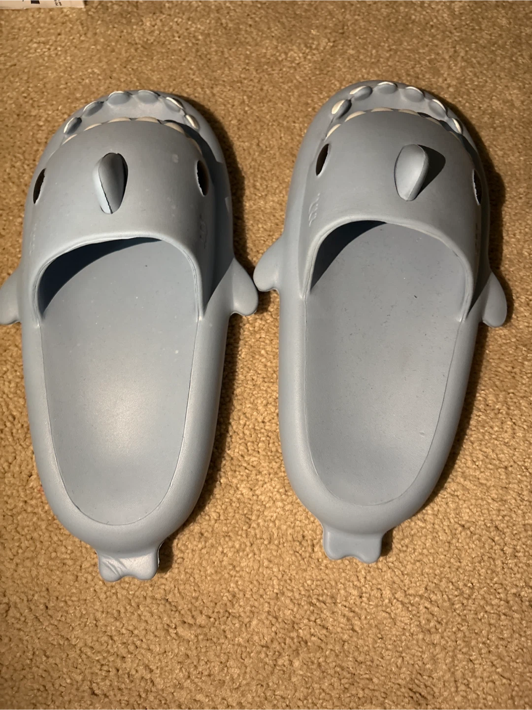 Shark Slide Sandals