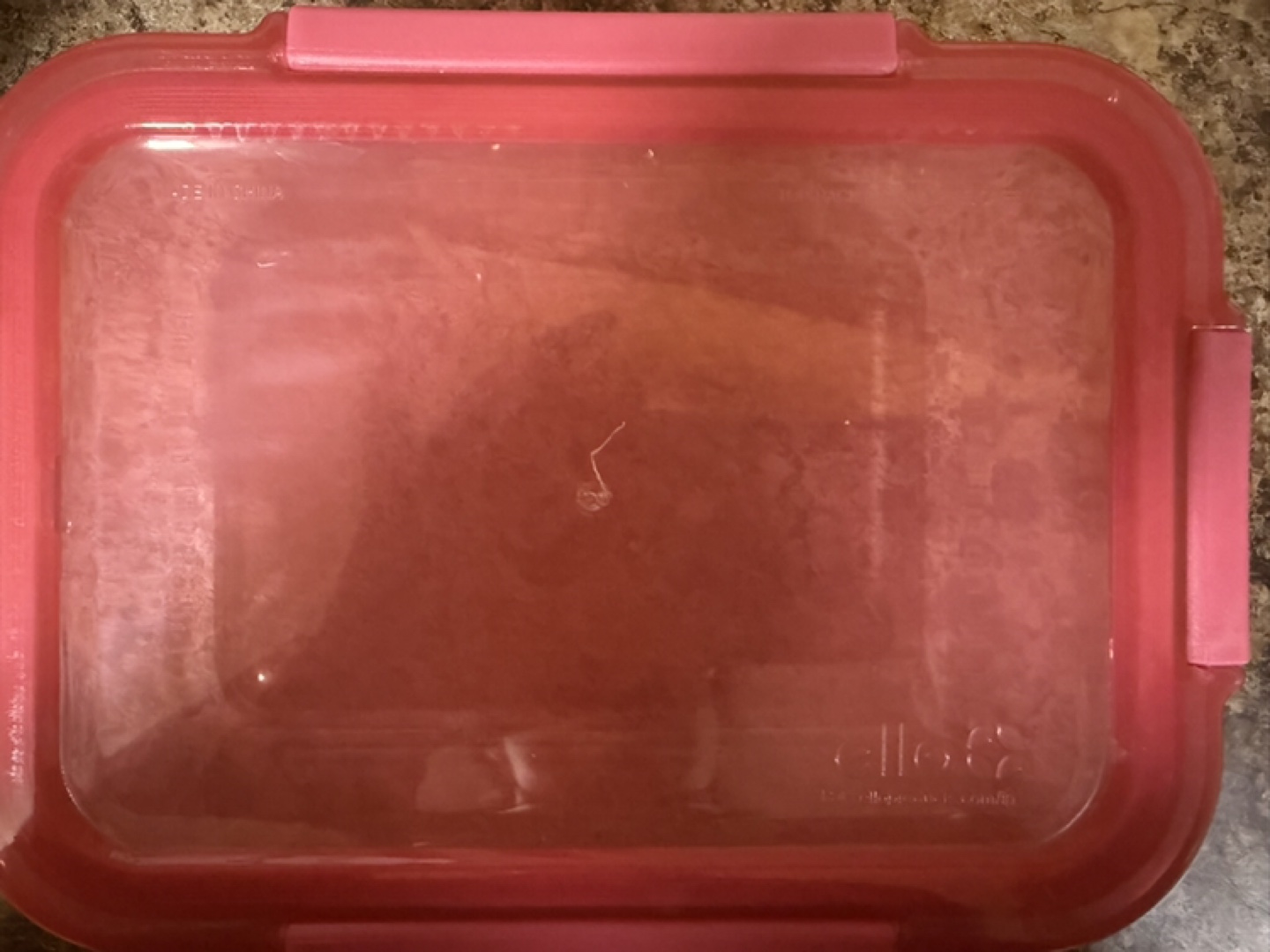 Ello Glass Food Storage Containers Set of 2 🥕 - photo 4