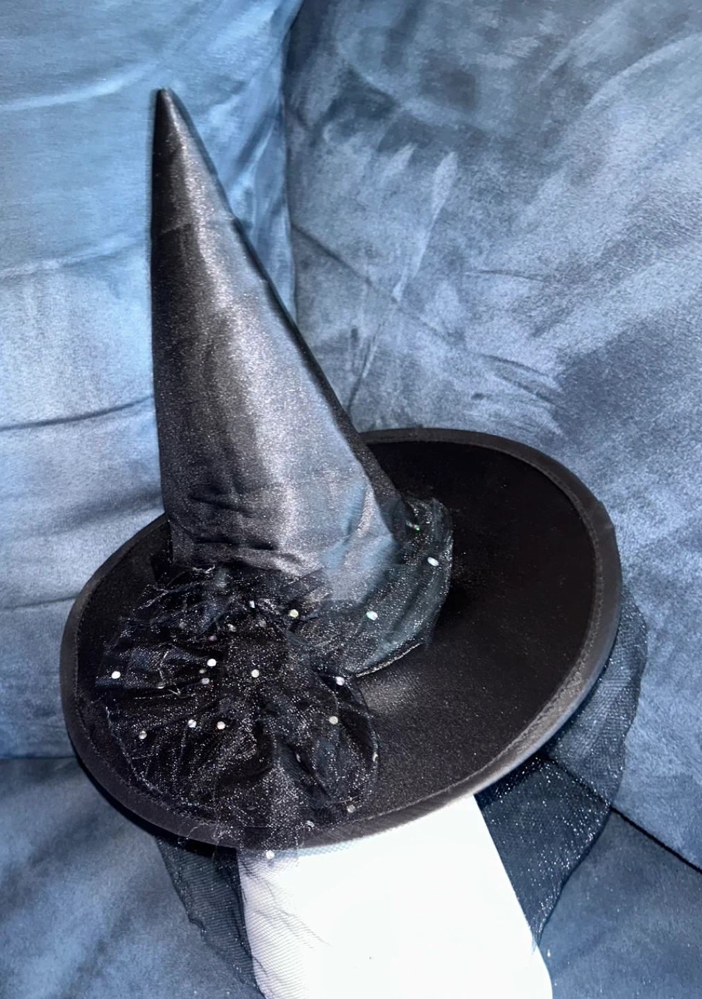 Black Witch Hat with Veil