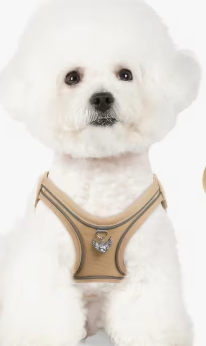 Pink Reflective Dog Harness - photo 2