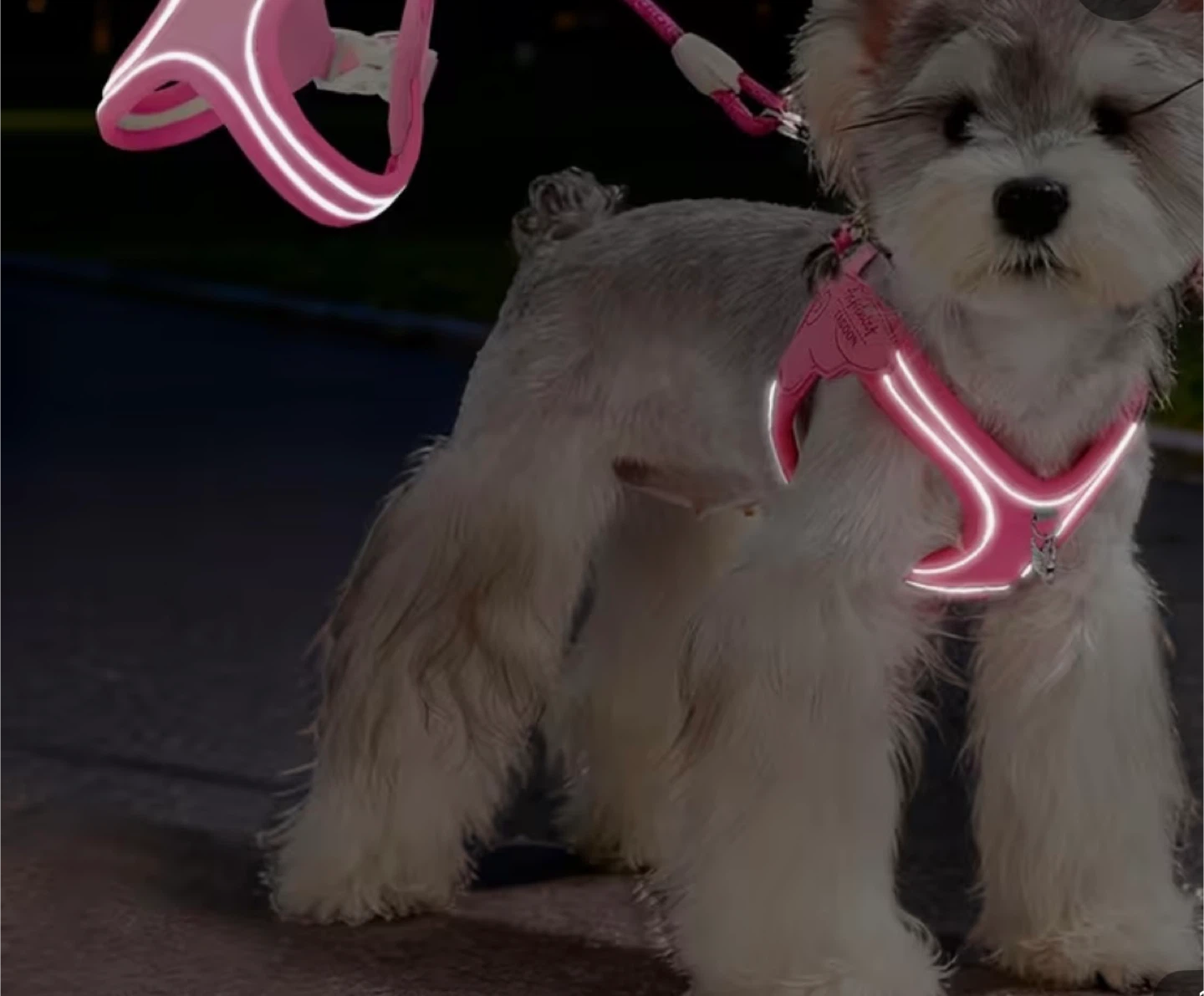 Pink Reflective Dog Harness