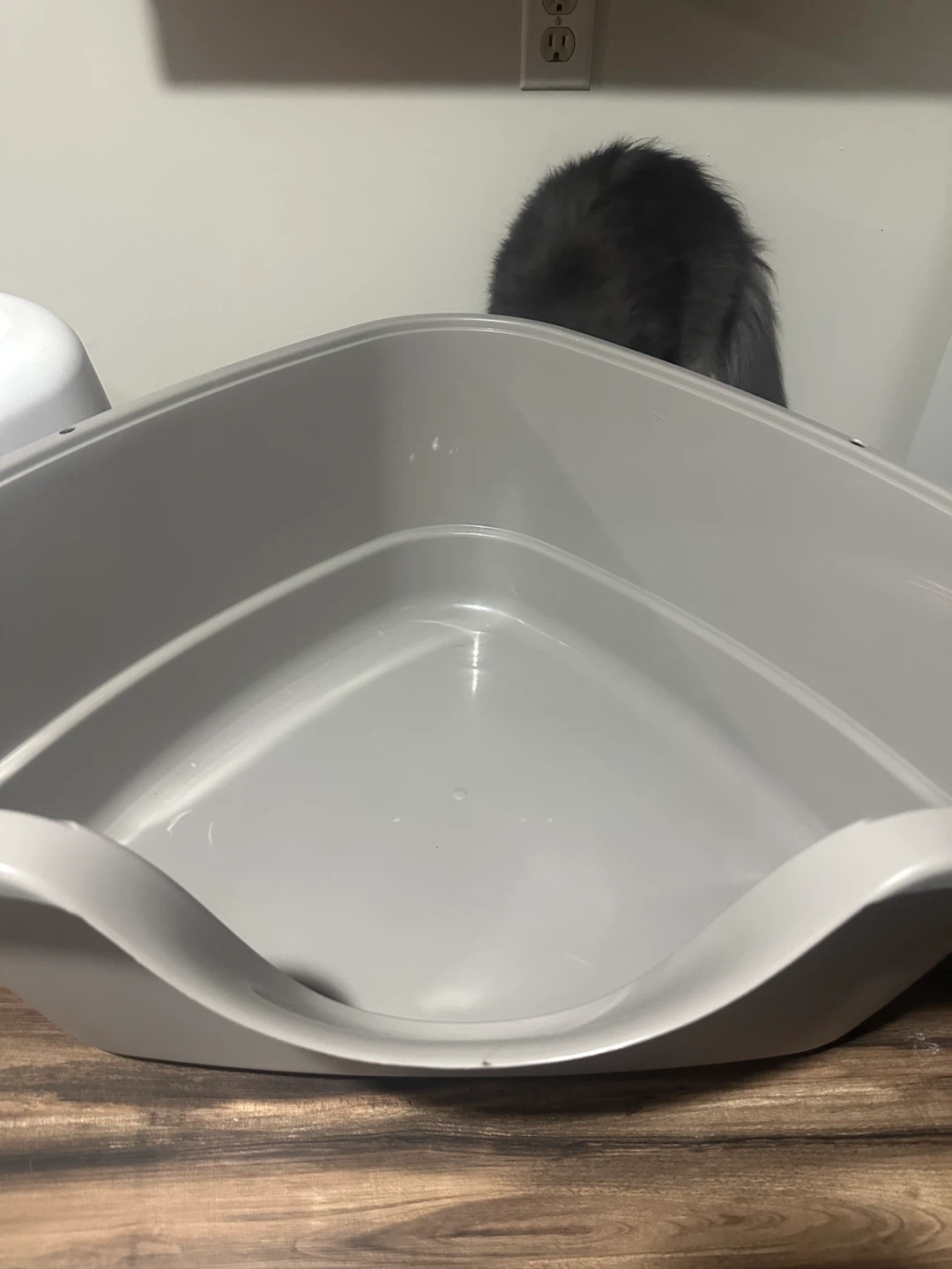 Large Covered Corner Litter Box – Like New – $40 - photo 5