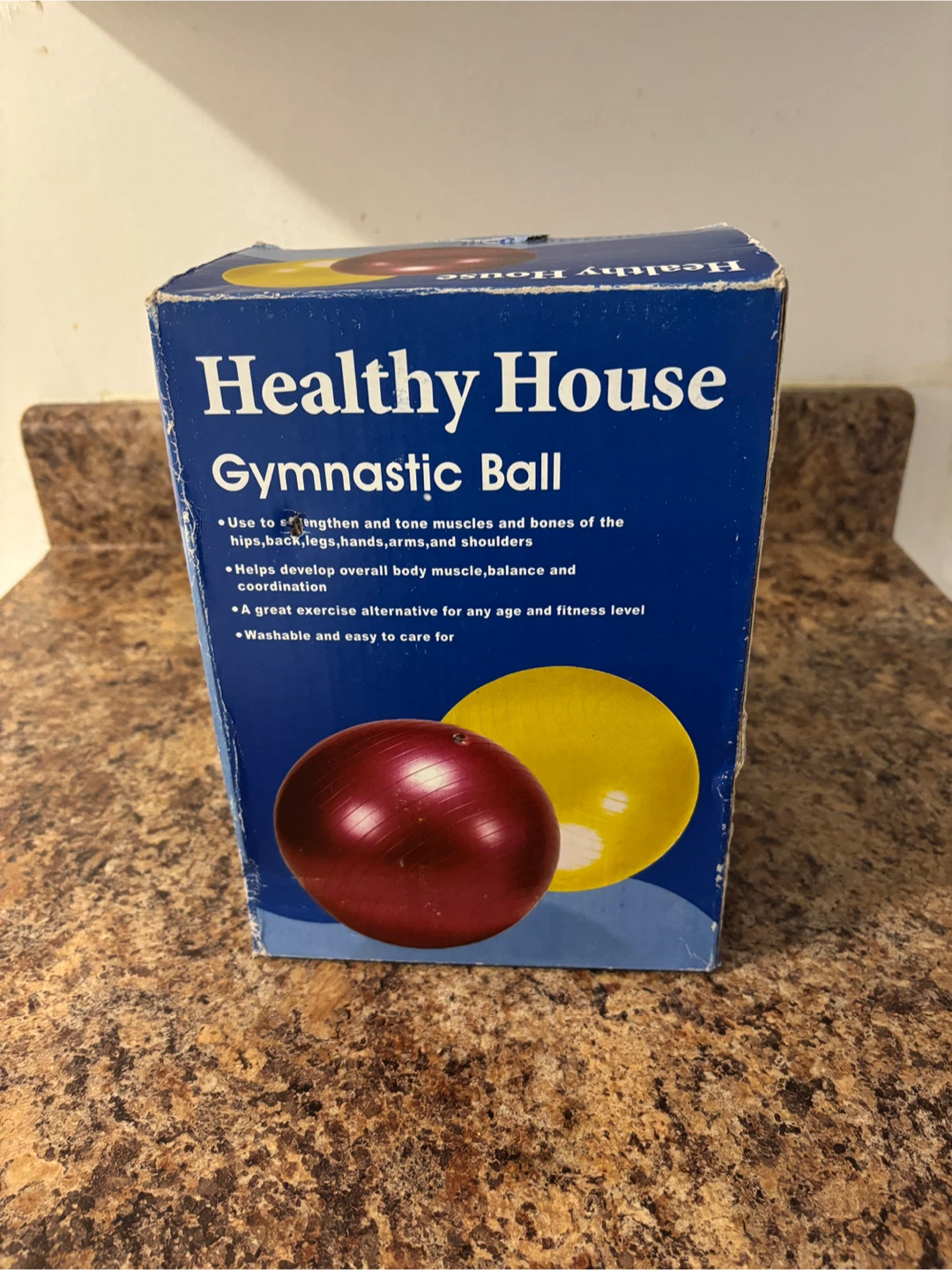 Healthy House Gymnastic Ball with Pump