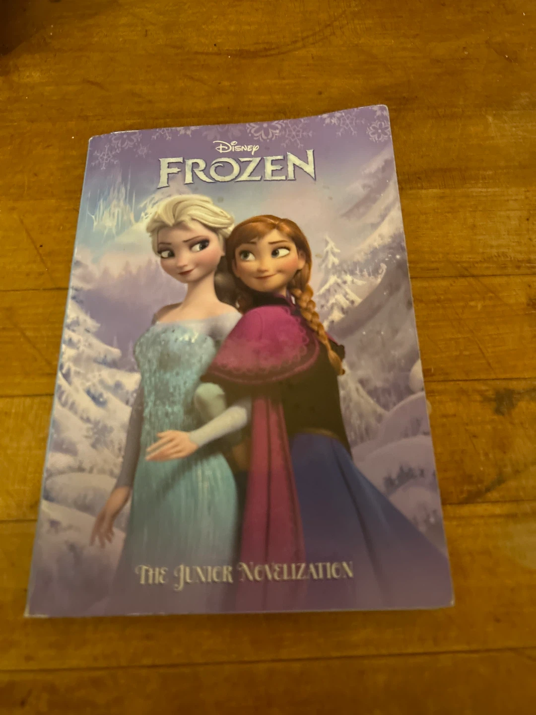 Disney Frozen The Junior Novelization Book
